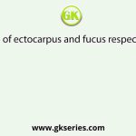 Life cycle of ectocarpus and fucus respectively are