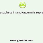 Male gametophyte in angiosperm is represented by