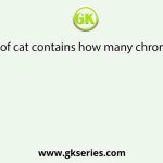 Meiocyte of cat contains how many chromosomes?
