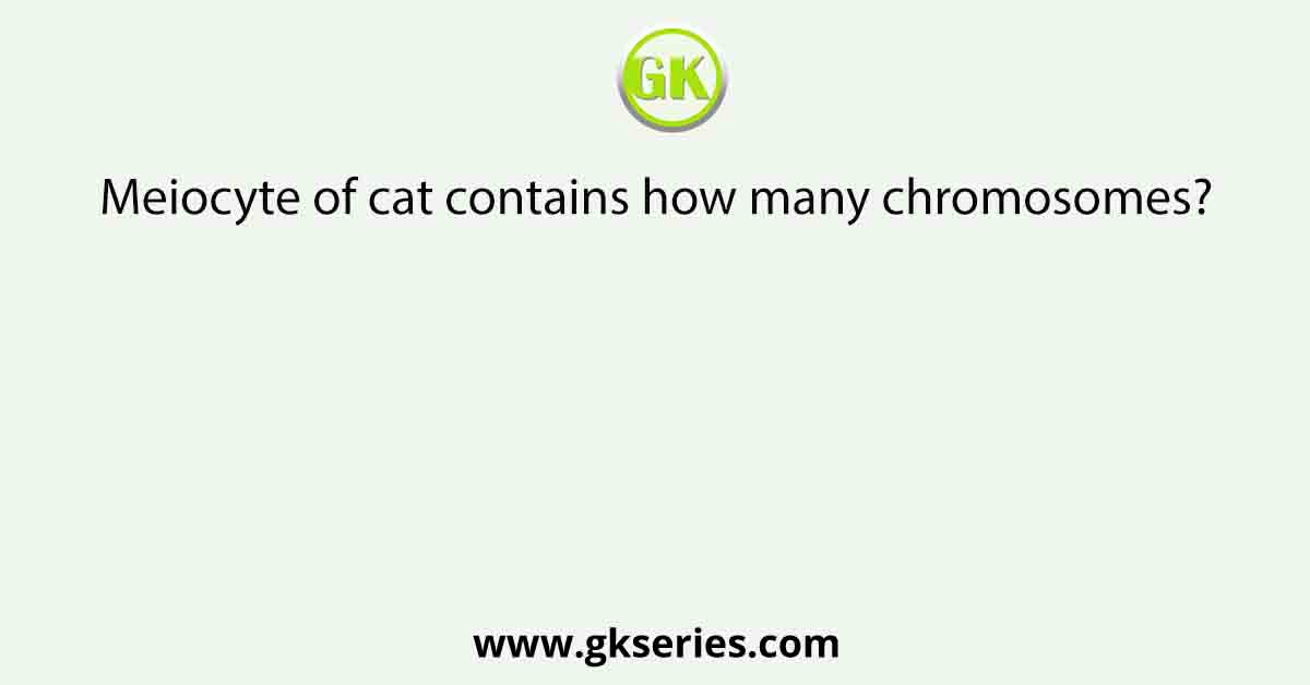 Meiocyte of cat contains how many chromosomes?