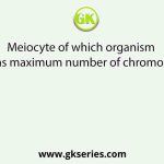 Meiocyte of which organism contains maximum number of chromosomes?