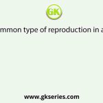 Most common type of reproduction in animals?