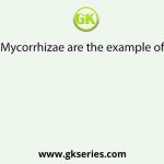 Mycorrhizae are the example of
