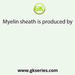 Myelin sheath is produced by