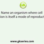 Name an organism where cell division is itself a mode of reproduction?