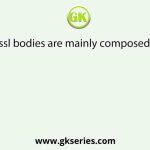Nissl bodies are mainly composed of