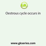 Oestrous cycle occurs in