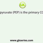 Phosphoenolpyruvate (PEP) is the primary CO2 acceptor in