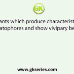 Plants which produce characteristic pneumatophores and show vivipary belong to