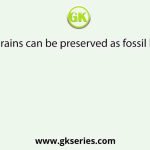 Pollen grains can be preserved as fossil because