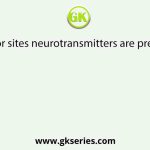 Receptor sites neurotransmitters are present on