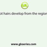 Root hairs develop from the region of