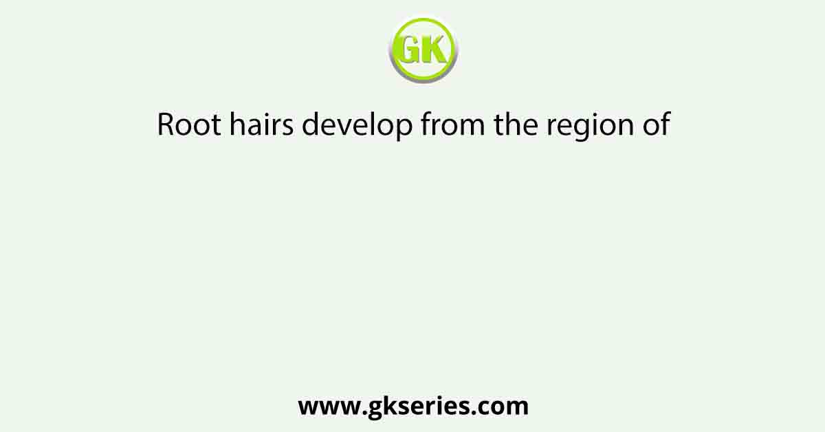 Root hairs develop from the region of