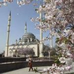 Russia Launches Islamic Banking Pilot Program: Exploring Shariah-based Finance