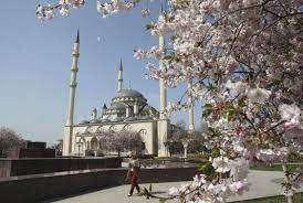 Russia Launches Islamic Banking Pilot Program: Exploring Shariah-based Finance