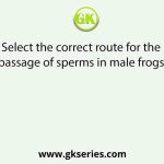 Select the correct route for the passage of sperms in male frogs.