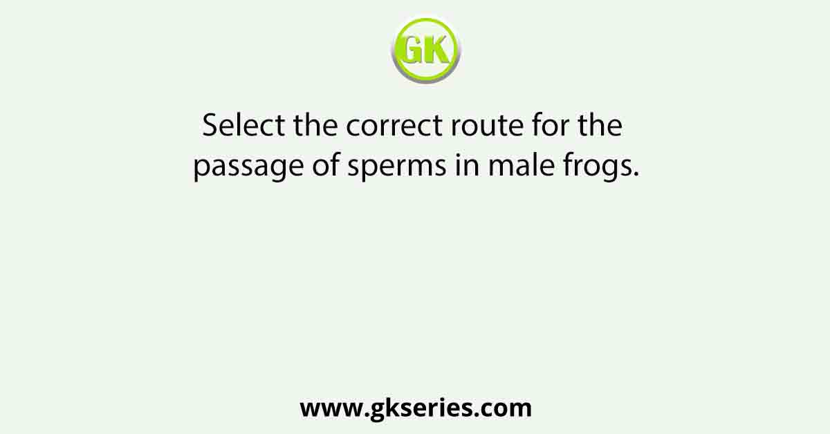 Select the correct route for the passage of sperms in male frogs.