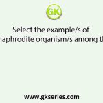 Select the example/s of hermaphrodite organism/s among these.