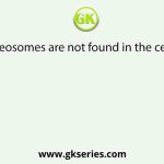 Spliceosomes are not found in the cells of