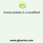 Sweet potato is a modified