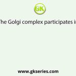 The Golgi complex participates in