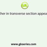 The anther in transverse section appears to be