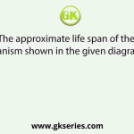 The approximate life span of the organism shown in the given diagram is