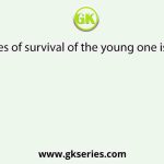 The chances of survival of the young one is greater in