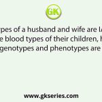 The genotypes of a husband and wife are IAIB and IAi. Among the blood types of their children, how many different genotypes and phenotypes are possible?