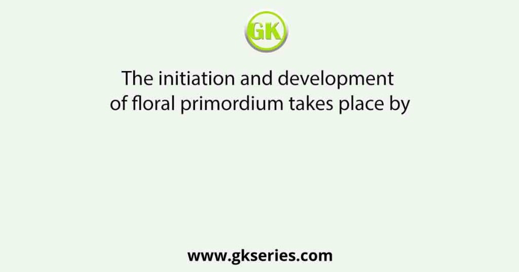 The initiation and development of floral primordium takes place by