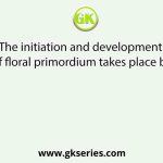 The initiation and development of floral primordium takes place by
