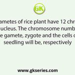 The male gametes of rice plant have 12 chromosomes in their nucleus. The chromosome number in the female gamete, zygote and the cells of the seedling will be, respectively