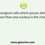 The microsporangium cells which posses dense cytoplasm and have more than one nucleus is the characteristic of