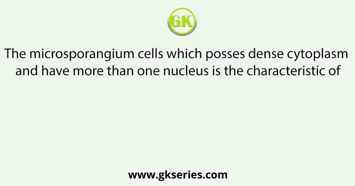 The microsporangium cells which posses dense cytoplasm and have more than one nucleus is the characteristic of