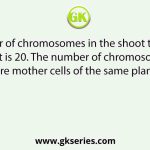 The number of chromosomes in the shoot tip cells of a maize plant is 20. The number of chromosomes in the microspore mother cells of the same plant shall be