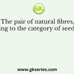The pair of natural fibres, belonging to the category of seed fibre, is