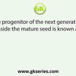 The progenitor of the next generation inside the mature seed is known as