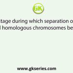 The stage during which separation of the paired homologous chromosomes begins is