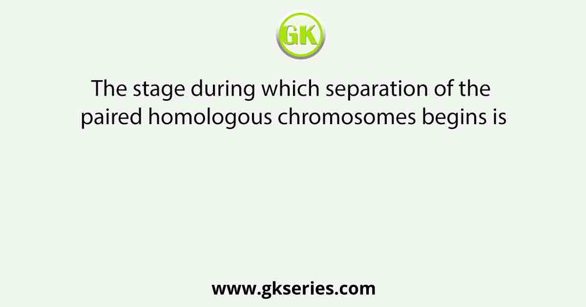 The stage during which separation of the paired homologous chromosomes begins is