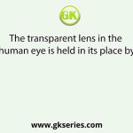 The transparent lens in the human eye is held in its place by