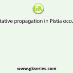 Vegetative propagation in Pistia occurs by
