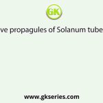 Vegetative propagules of Solanum tuberosum is