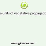 What are the units of vegetative propagation in plants?