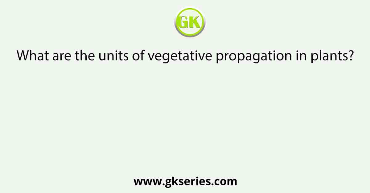 What are the units of vegetative propagation in plants?