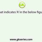 What indicates ‘A’ in the below figure?