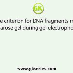 What is the criterion for DNA fragments movement on agarose gel during gel electrophoresis?