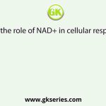 What is the role of NAD+ in cellular respiration?