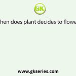 When does plant decides to flower?