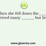 “When she fell down the_____, she received many _____ but little help”