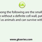 Which among the following are the smallest living cells, known without a definite cell wall, pathogenic to plants as well as animals and can survive without oxygen?